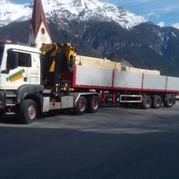 Lkw transportiert Holz
